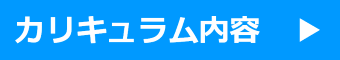 カリキュラム内容